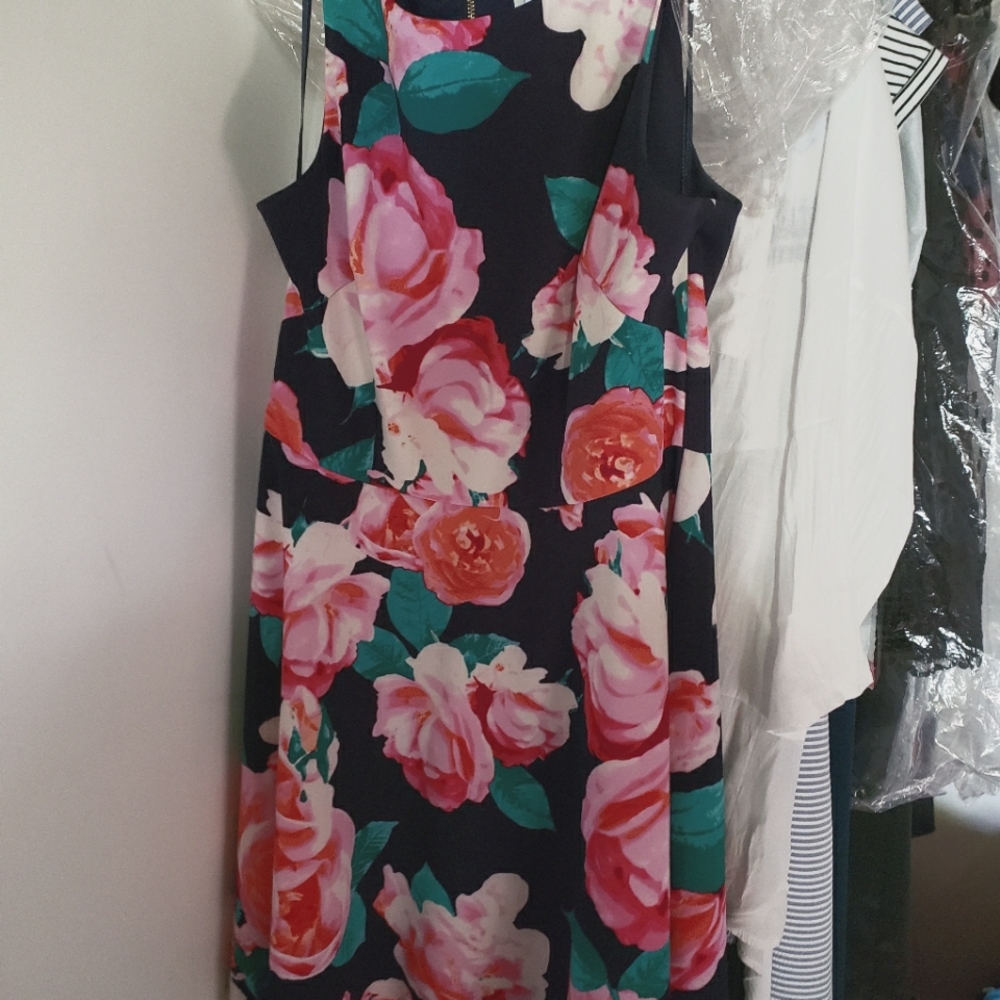 Eliza J Floral Fit & Flare Dress